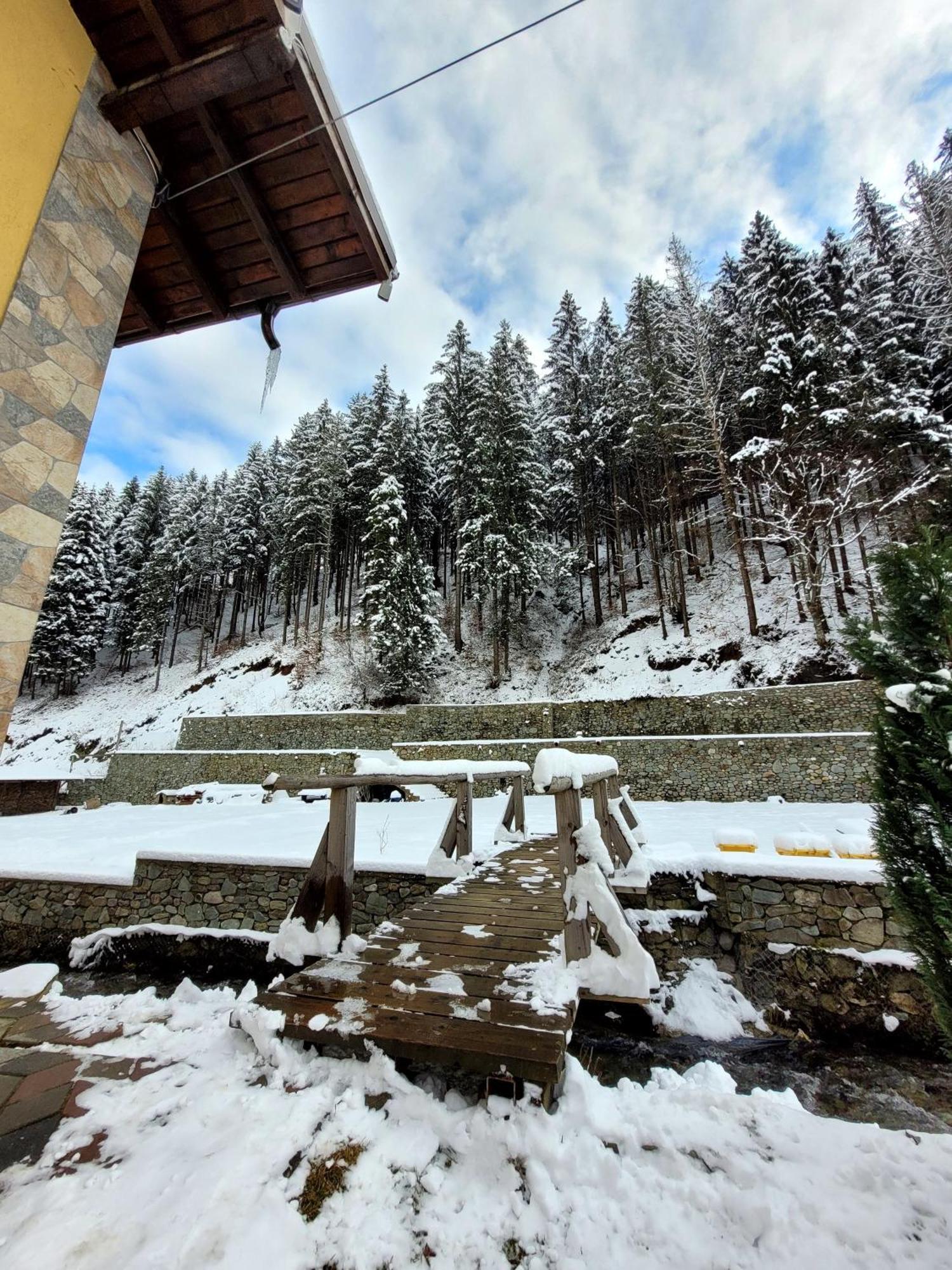 Casa Maryon Villa Rucăr Exterior foto